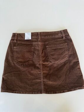 Time and Tru Chocolate Brown Corduroy Mini Skirt